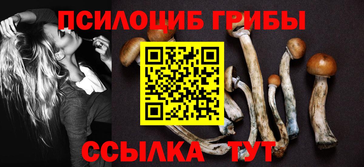 Псилоцибиновые грибы Psilocybine cubensis Радужный